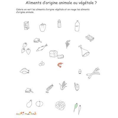 Activitésur les aliments d'origine animale ou végétale
