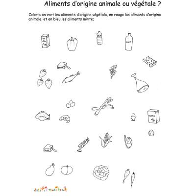 Activité pour retrouver les es différentes sortes d'aliments