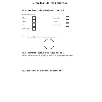 Fiche d'activité pour faire une observation sur les cheveux