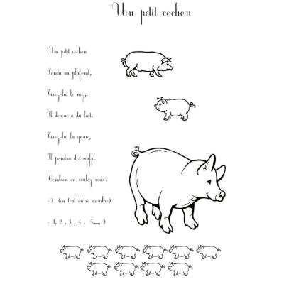 cochon
