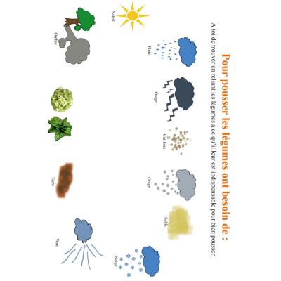 Activité pour comprendre les besoins des légumes pour bien pousser