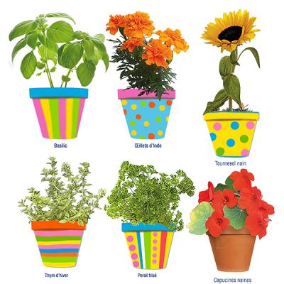 Petites plantations en pots