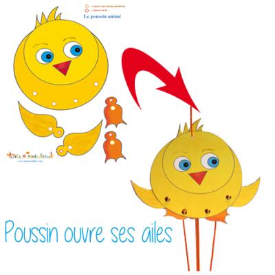 Petit poussin ouvre ses ailes au printemps