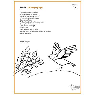 Poésie Le rouge-gorge