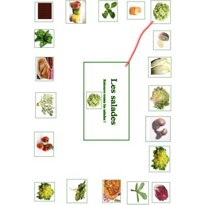 Faire une activité pour différencier les salade des autres aliments