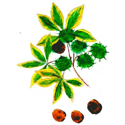 Marrons d'automne peints par un enfant