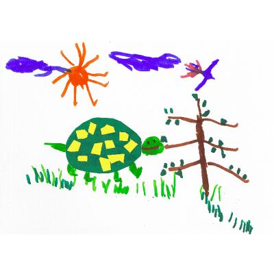 Dessiner et découper une tortue