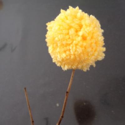 Le bouquet de fleurs pompons