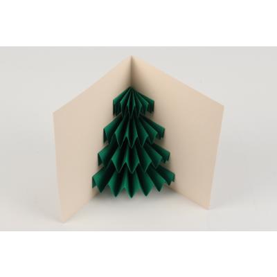 le sapin apparaît