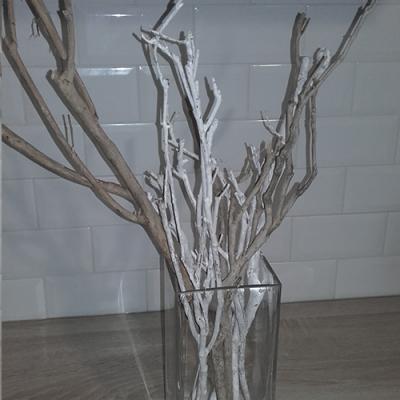 Récupérer des branches