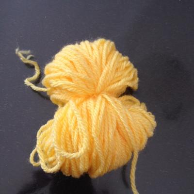 Le bouquet de fleurs pompons