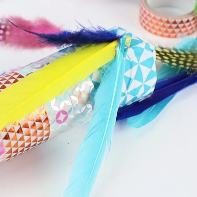 Coller