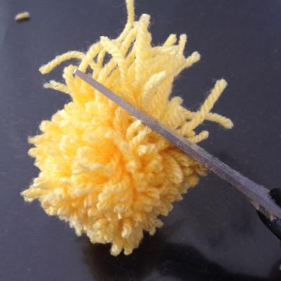 Le bouquet de fleurs pompons