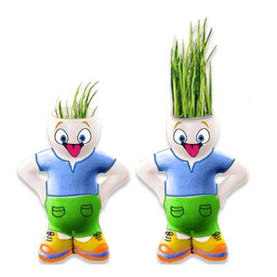 La pousse des cheveux :