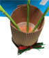 planter les marguerites