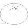 Modele tomate