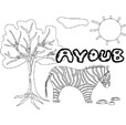coloriage Ayoub savane