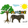 image Amine savane