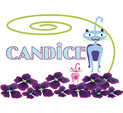image candice