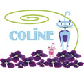 image prénom coline