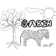 coloriage Gabin savane