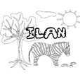 coloriage Ilan savane