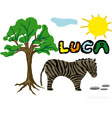 image Luca savane