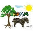 image Noam savane