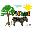 image Pierre savane