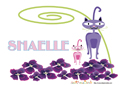image prénom Shaelle