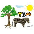 image Tim savane