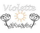 violette coloriage