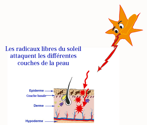 le soleil agresse la peau